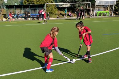 Summer Camp Programs